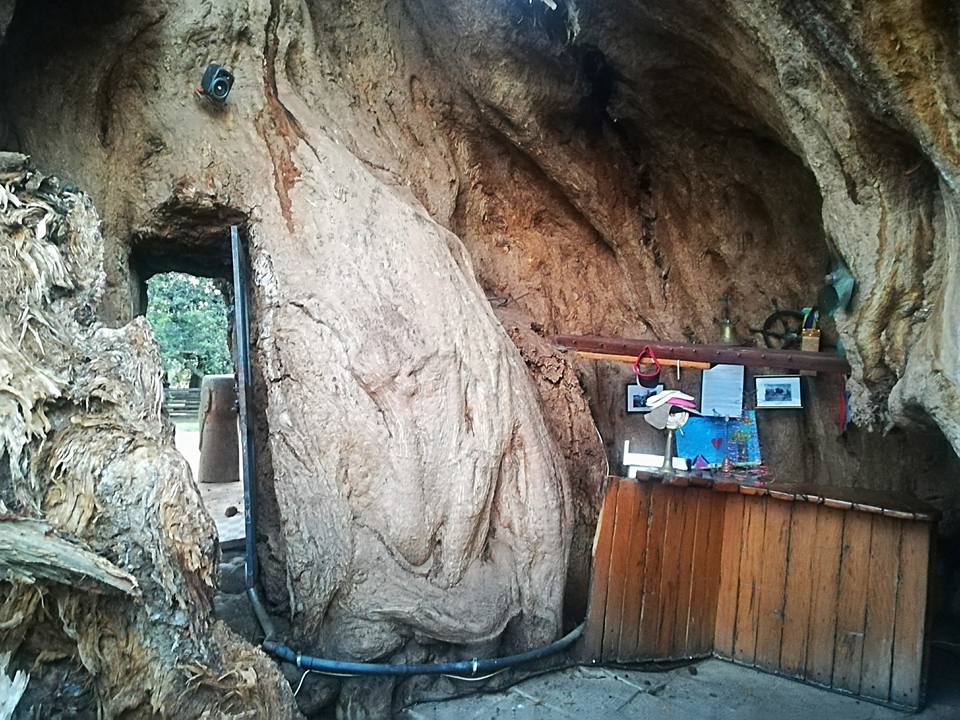Sunland Baobab | Ga-Kgapane