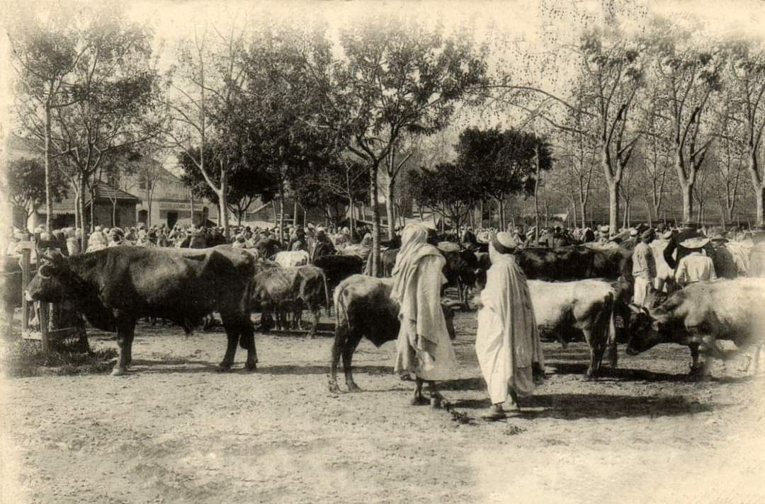 Lycée de garçons Abane Ramdane | El Harrach