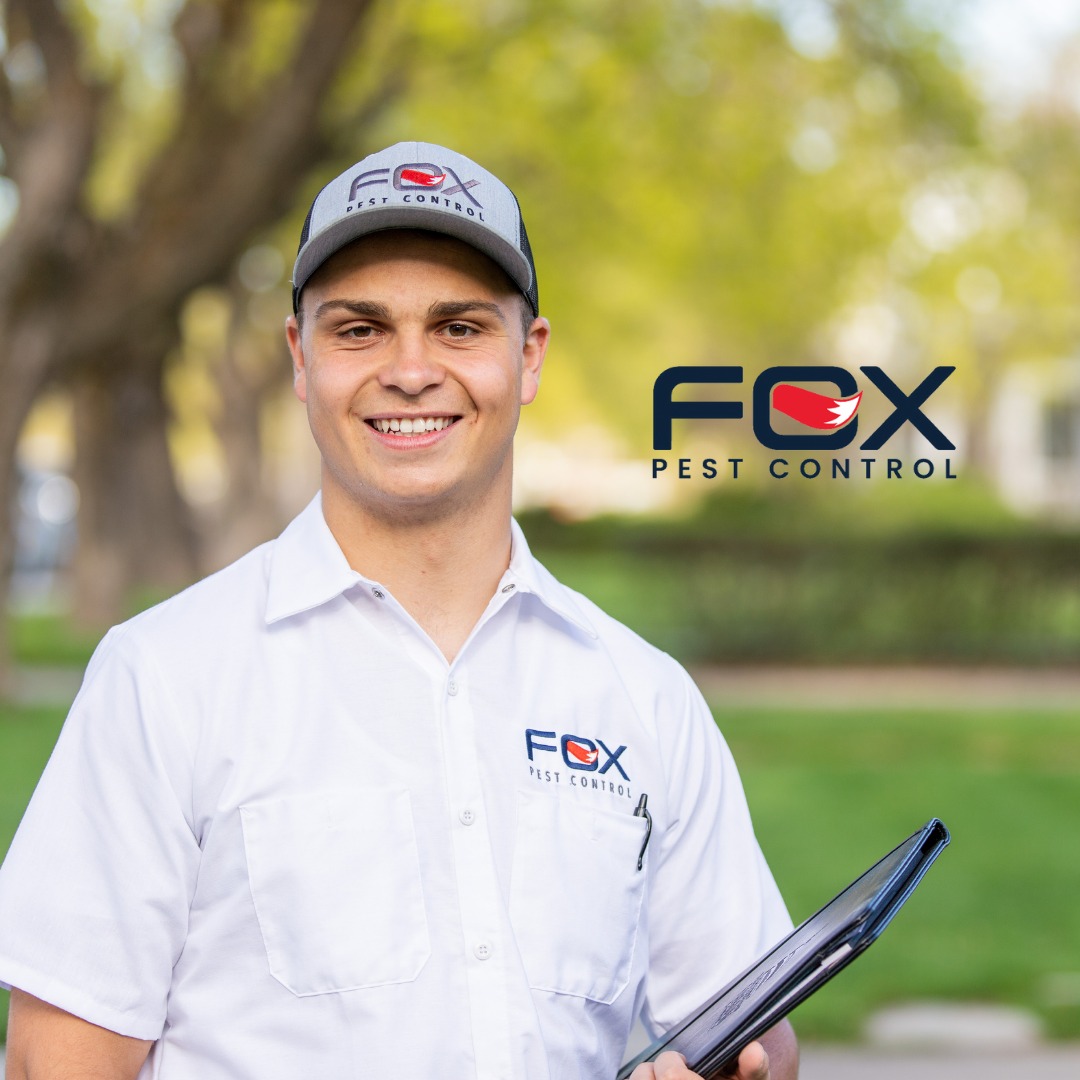 Great Description About Pest Control Glen Ellyn