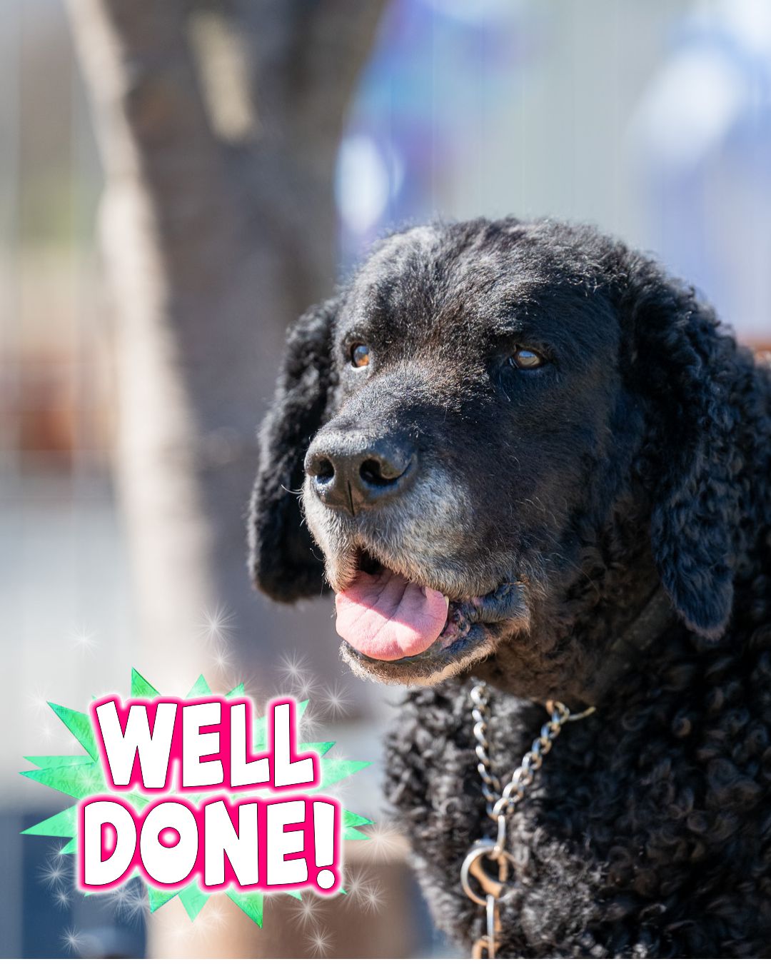 Congrats to all those who are completing their final week of  