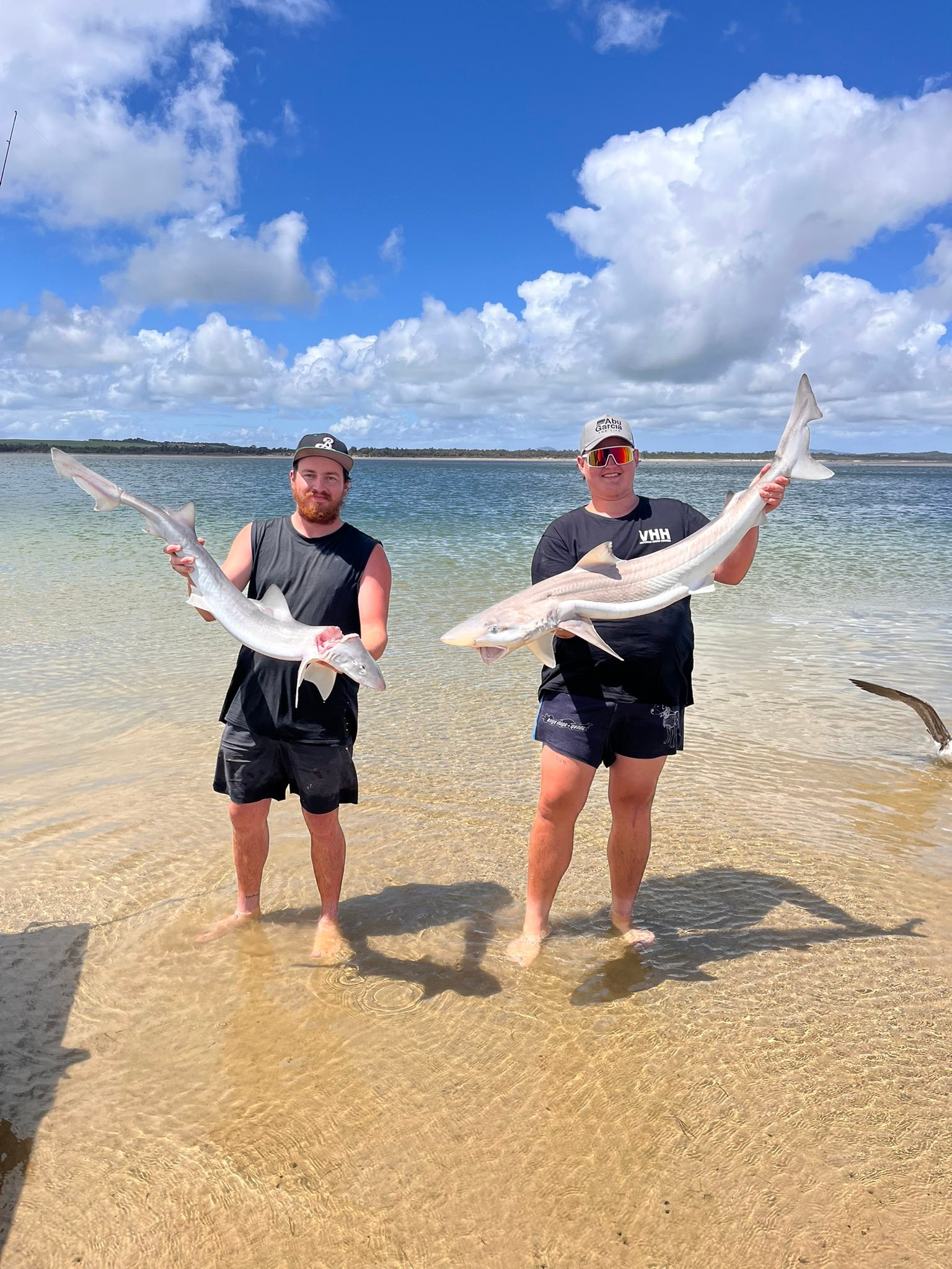 Shallow Inlet Fishing (Sandy Point) | Facebook