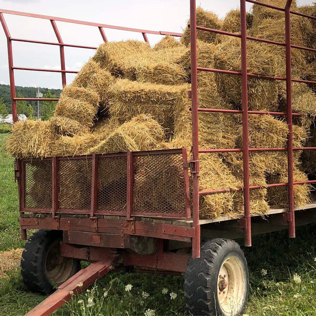 Hahn Farm Salt Point Ny : HAHN FARM : Ce qu’il faut savoir pour votre ...