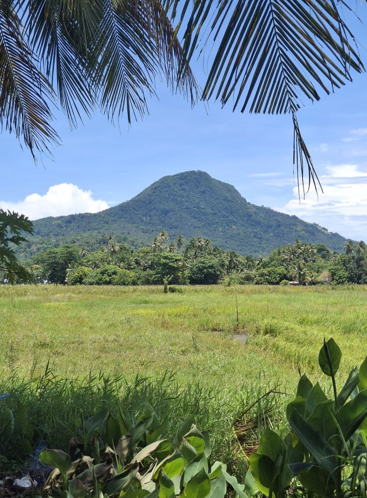 Agong Sadic