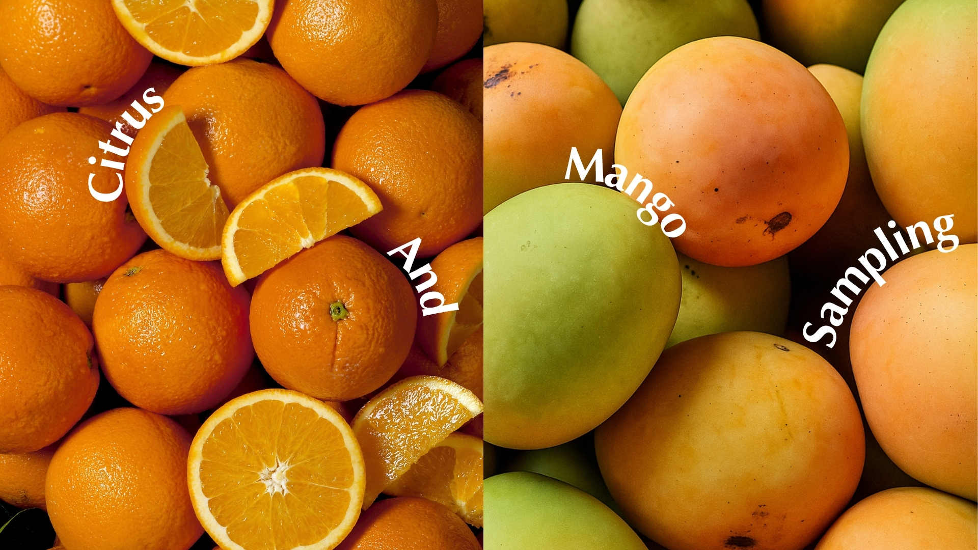 Citrus and Mango Sampling