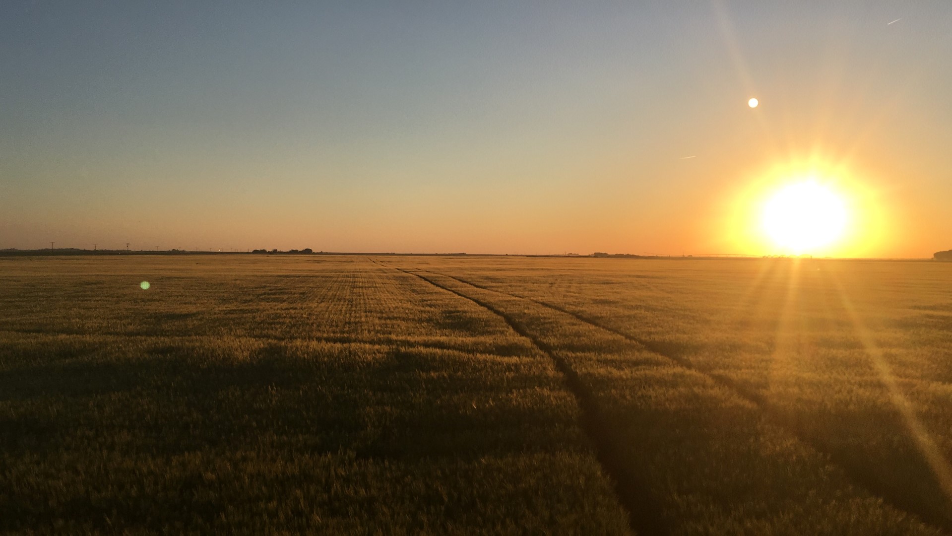 Prairie Genesis