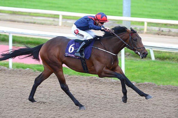 Delighted to see see Now The... - Michael O'Callaghan Racing