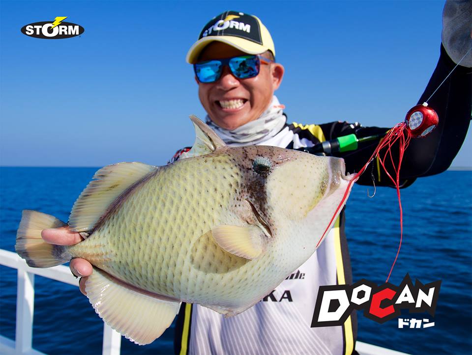 Rapala - เหยื่อสำหรับงานทะเล #Storm_Docan 60g ราคาตั้ง... | Facebook