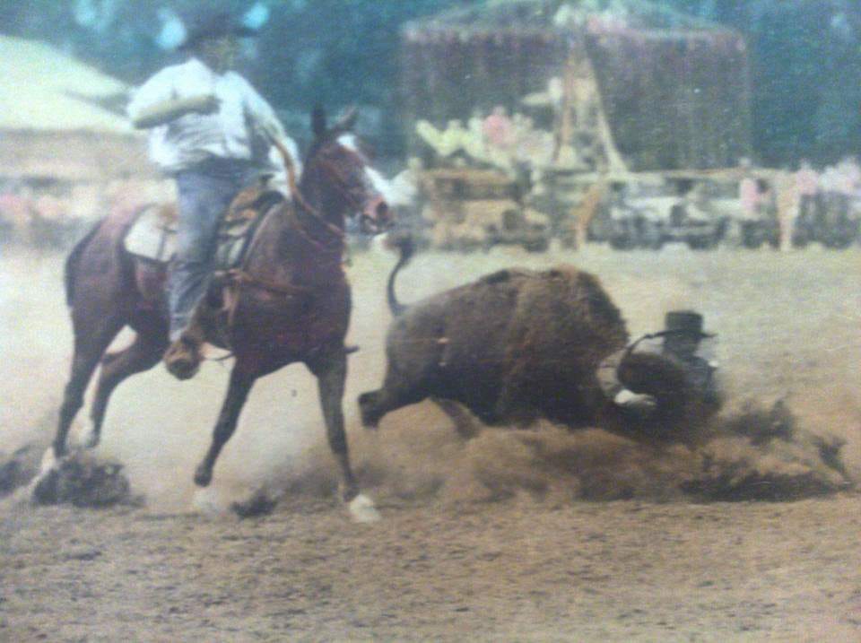 Buster's Saloon - Dick Truitt bulldogging buffalo, 1932,...