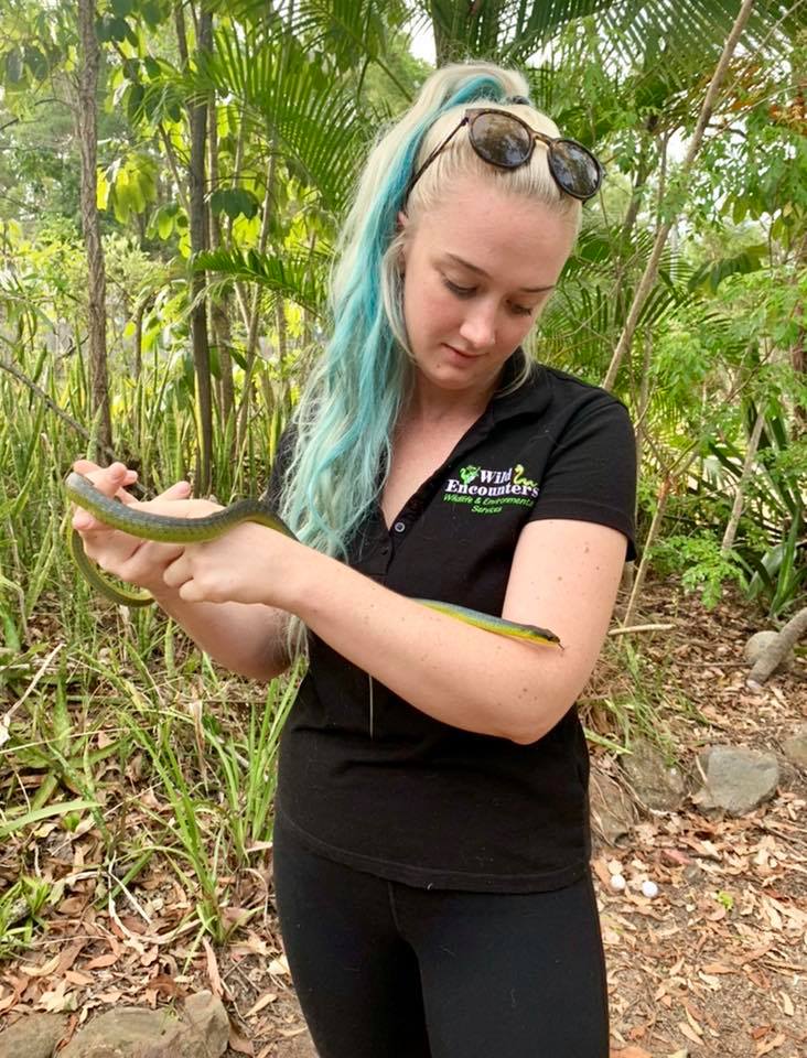 Northern Rivers Snake Catcher