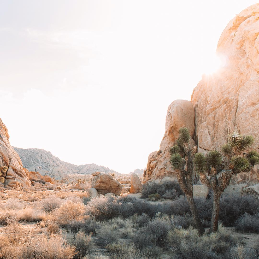 Madison Rouse Photography