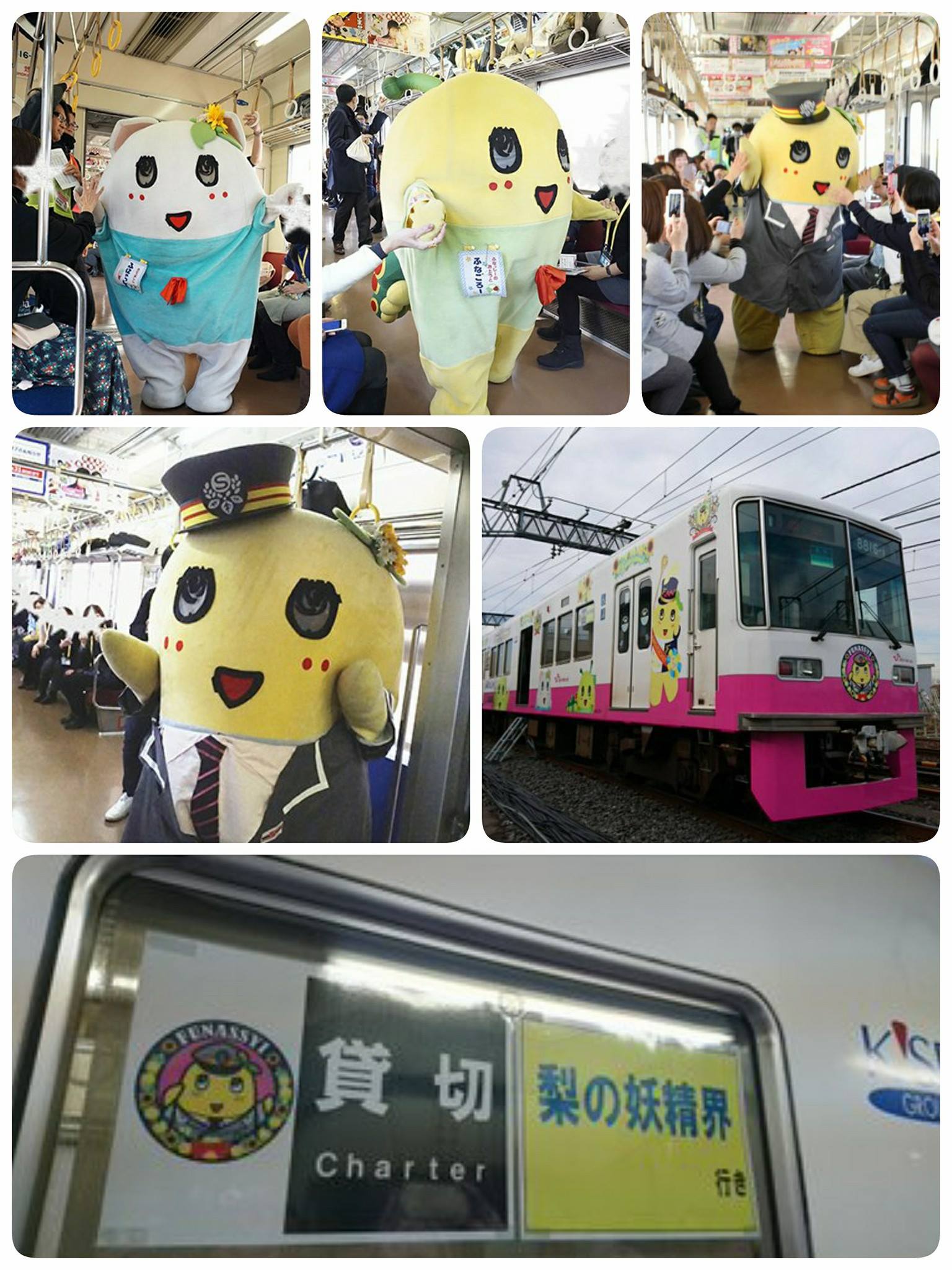 船梨精 funassyi - 1/15新京成電鐵船梨精列車的活動寫真梨！包下一整列電車，和船梨精近距離接觸好羨慕梨！！...