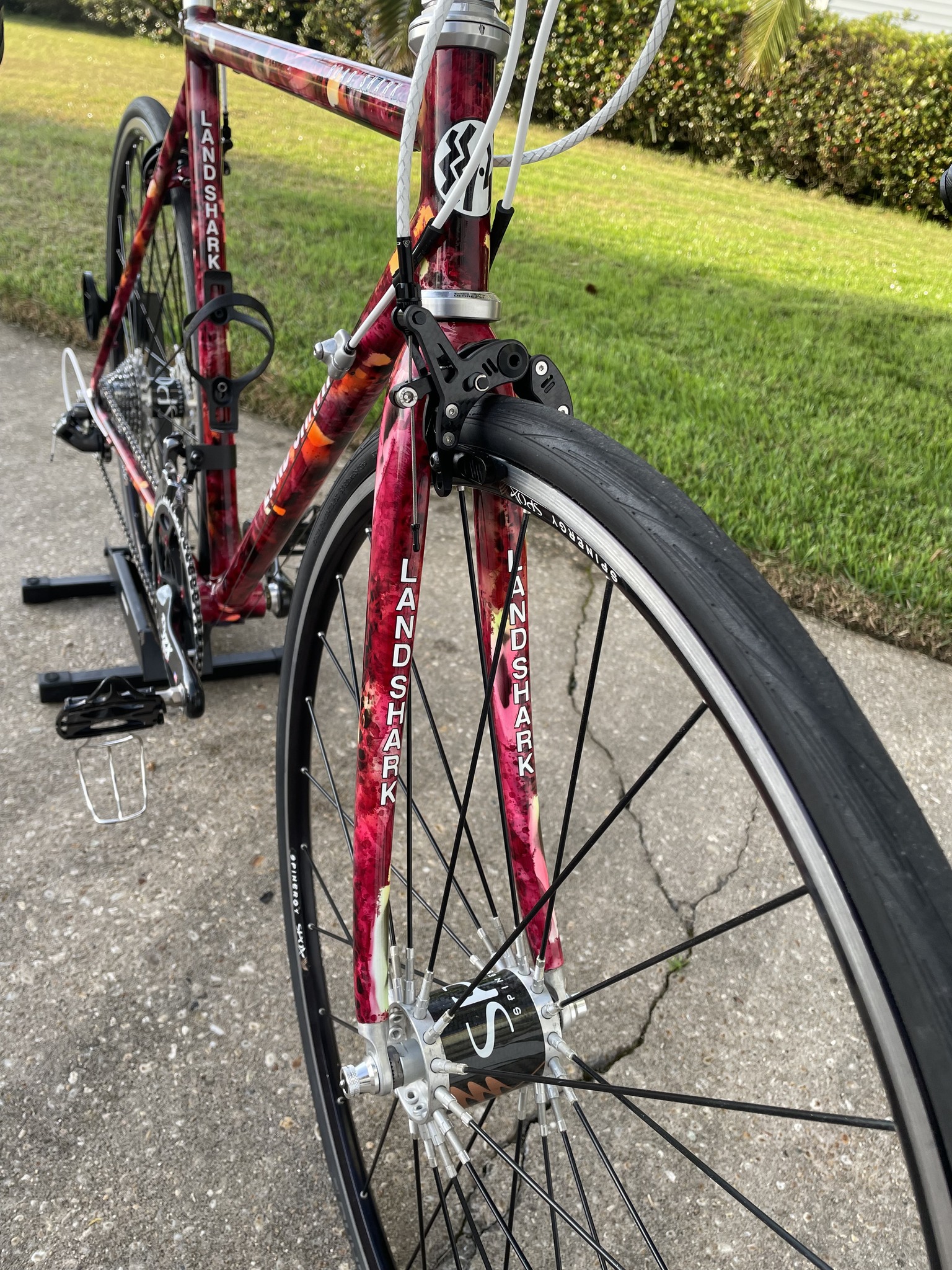 Landshark Road Shark steel frame restomod bike build