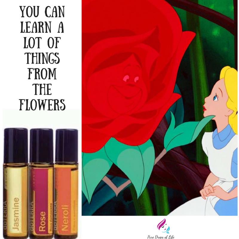 Three of the world's most sought-after oils are available in