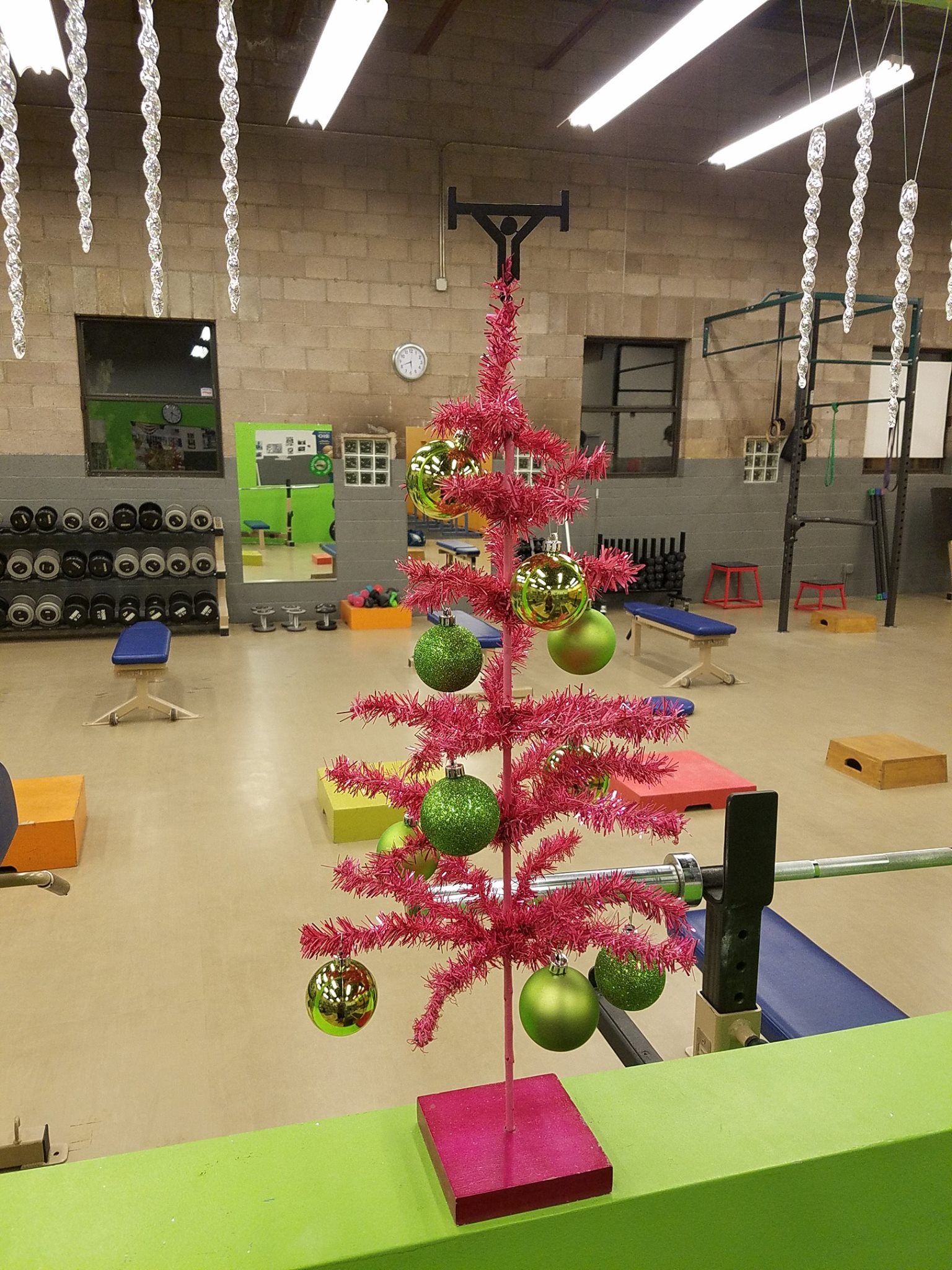 The Miller Gym - Does the genius of Tony Gomez have no...