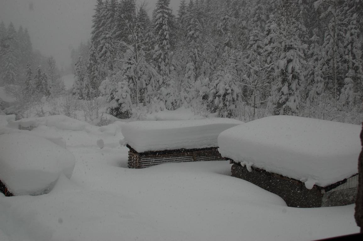 Stefanie Sommer Es Schneit Wieder Toll Facebook