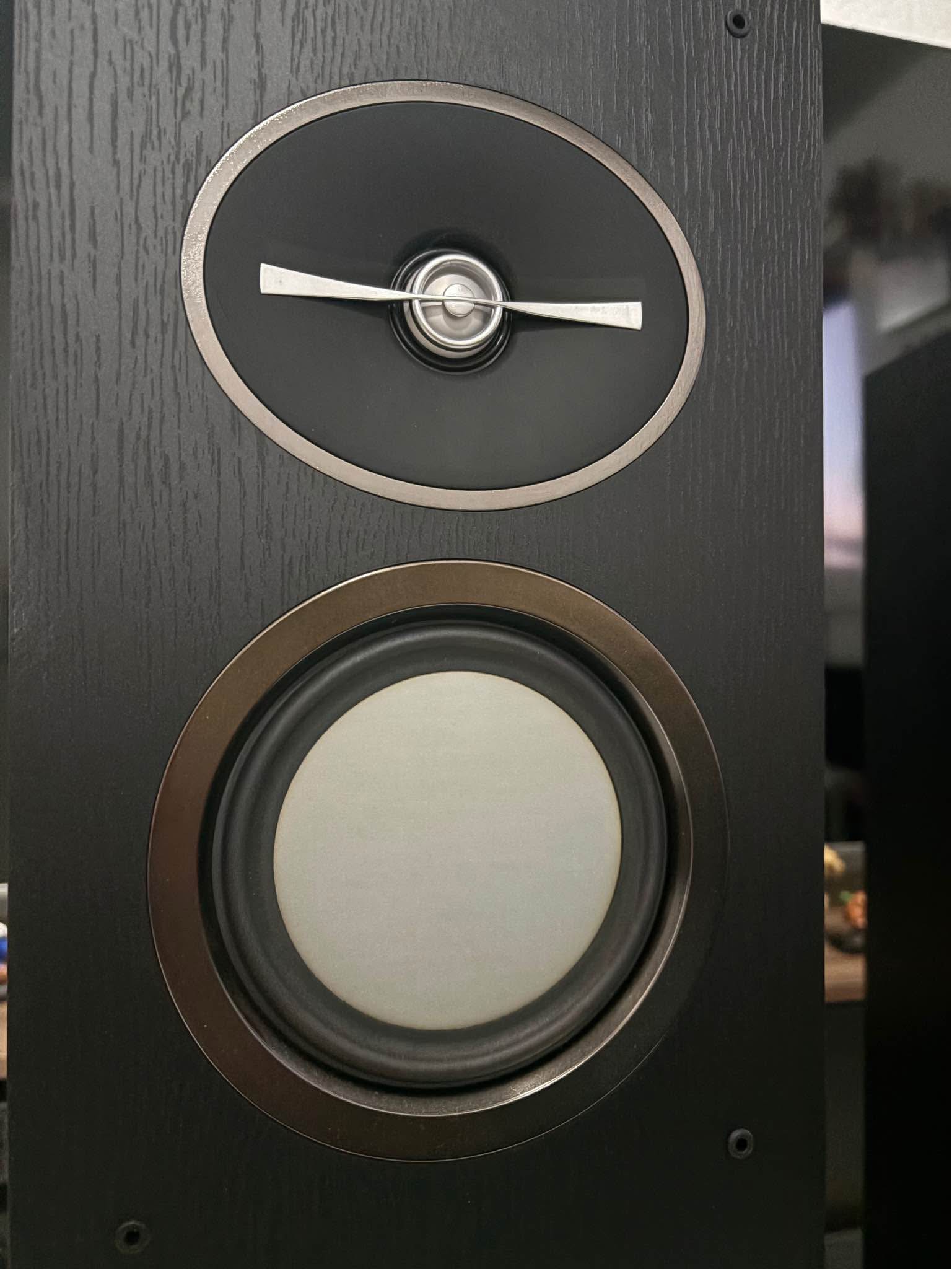 🔥🔥 Torres Infinity by Harman modelo R263 seminuevas 🔥🔥