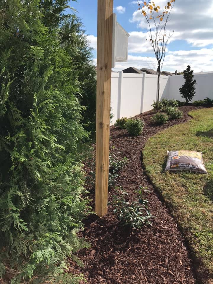 Privacy & Shade Tree Installation - Landscape Design / Installs
