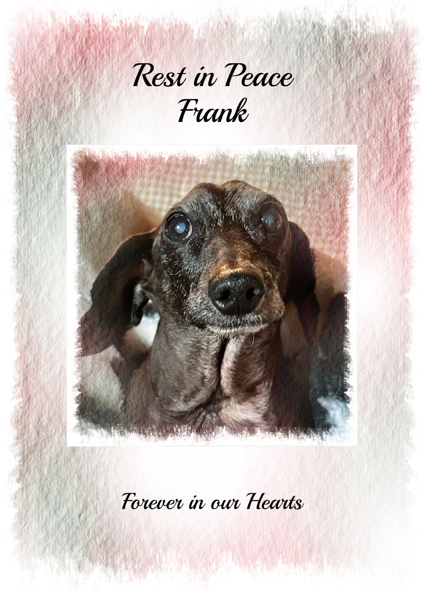John Fenlaw - Frank Frank The Tank | Facebook