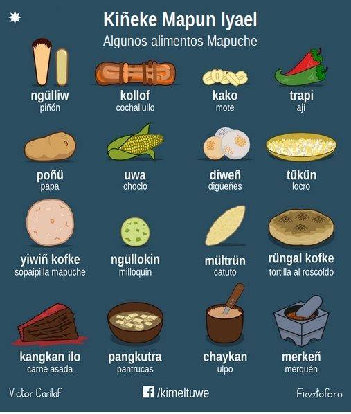 Kiñeke Mapun Iyael /... - Kimeltuwe, materiales de mapudungun | Facebook