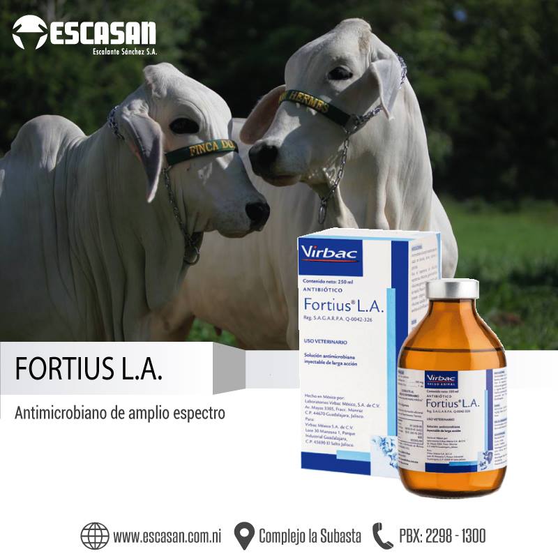 Para el tratamiento de infecciones... - Escasan Nicaragua