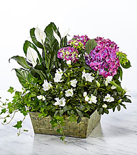 Coldspring Florist | Coldspring TX