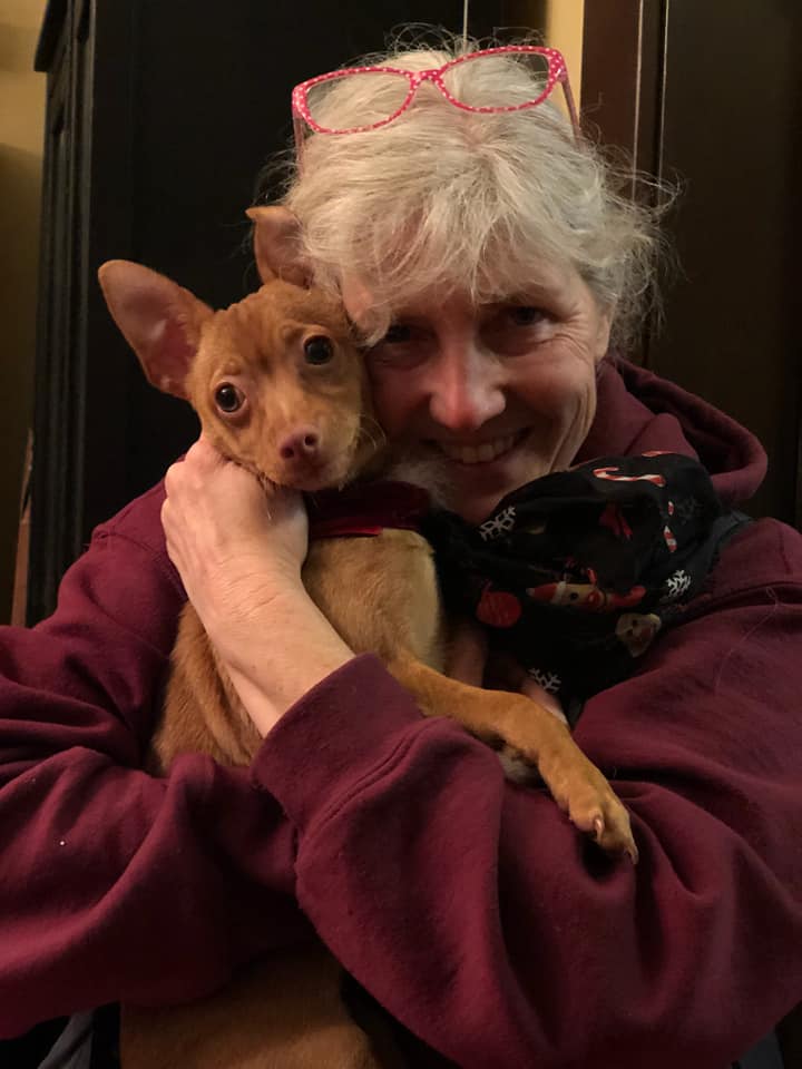 Smidget Rescue - The first of our movie star puppies,...