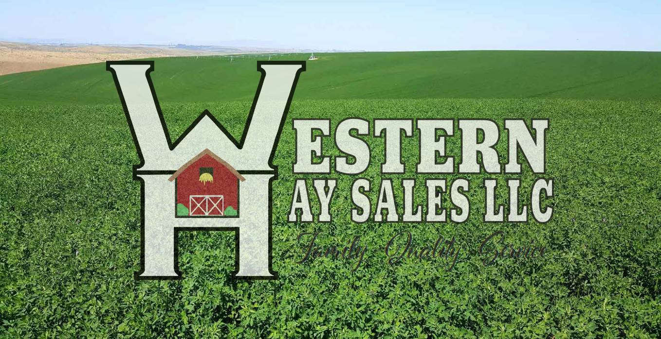 Western Hay Sales Home