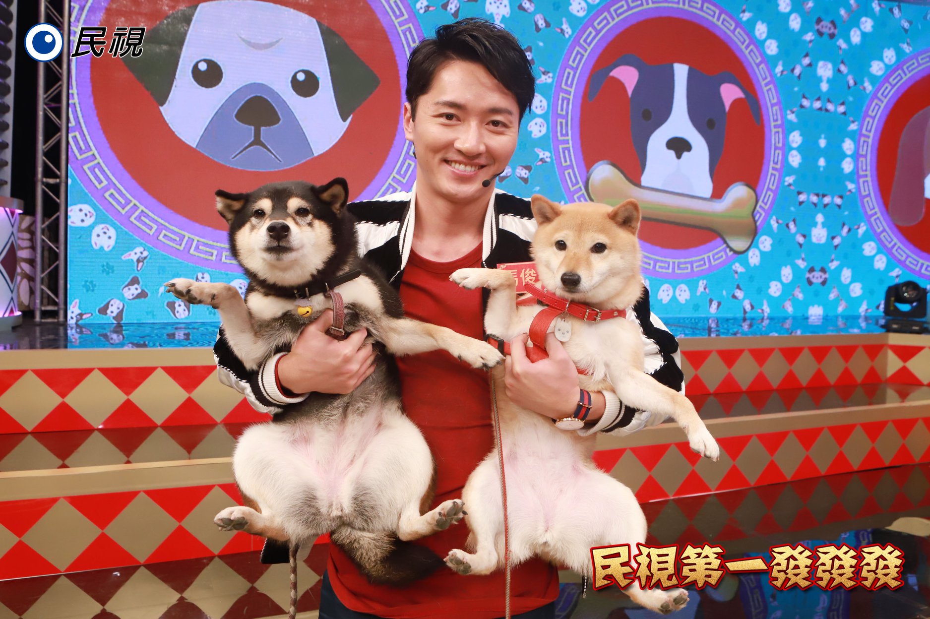 民視第一發發發 - 暖男 馬俊麟 Mars 與狗狗可愛萌照 可愛柴犬也太吸睛了… 而且還有兩隻！！...