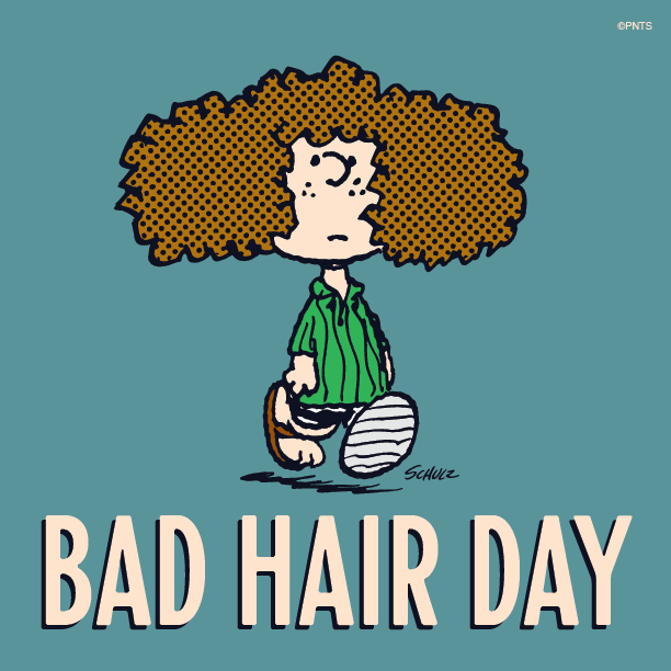 Snoopy - We've all been there.