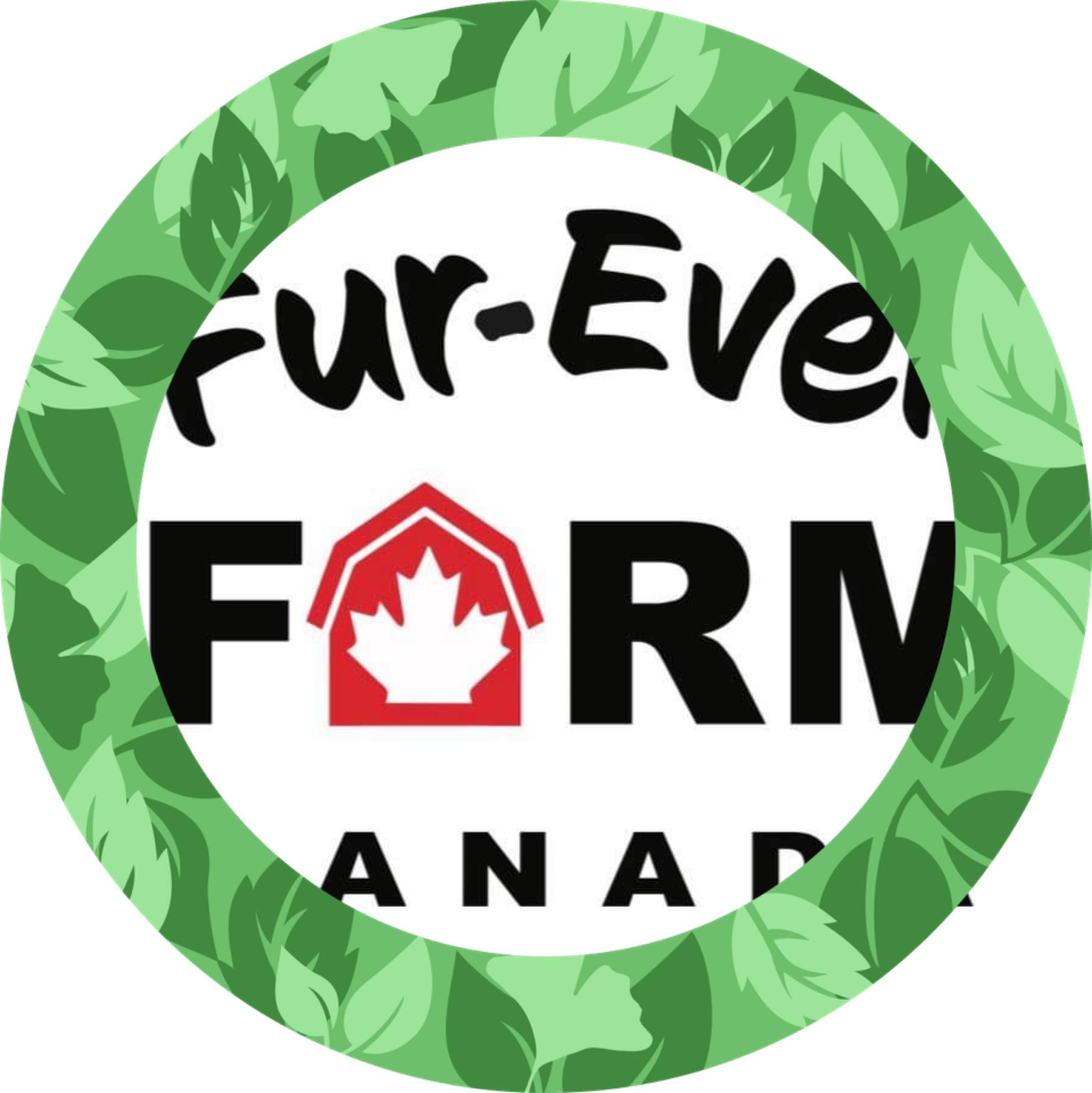 🐾 Only 3 spots left for this Sunday’s Farm Tour! 🐾 Come meet and feed ...