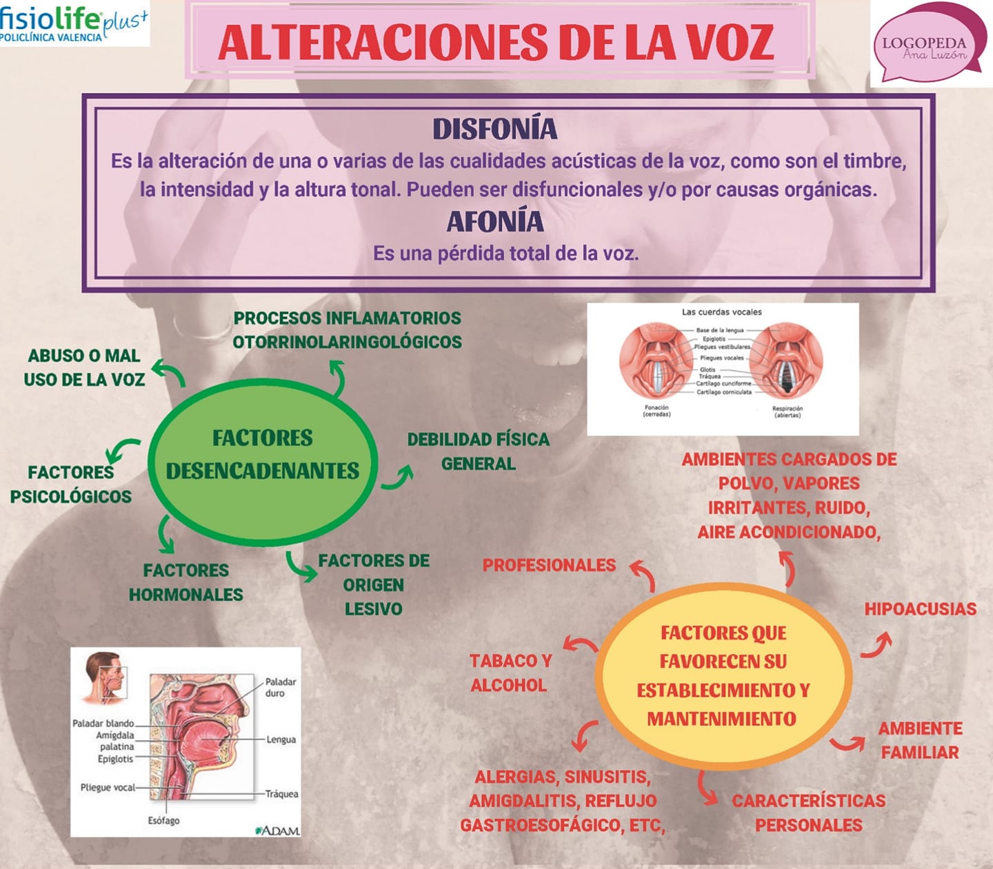 La disfonía y la afonía son... - Logopeda Ana Luzón