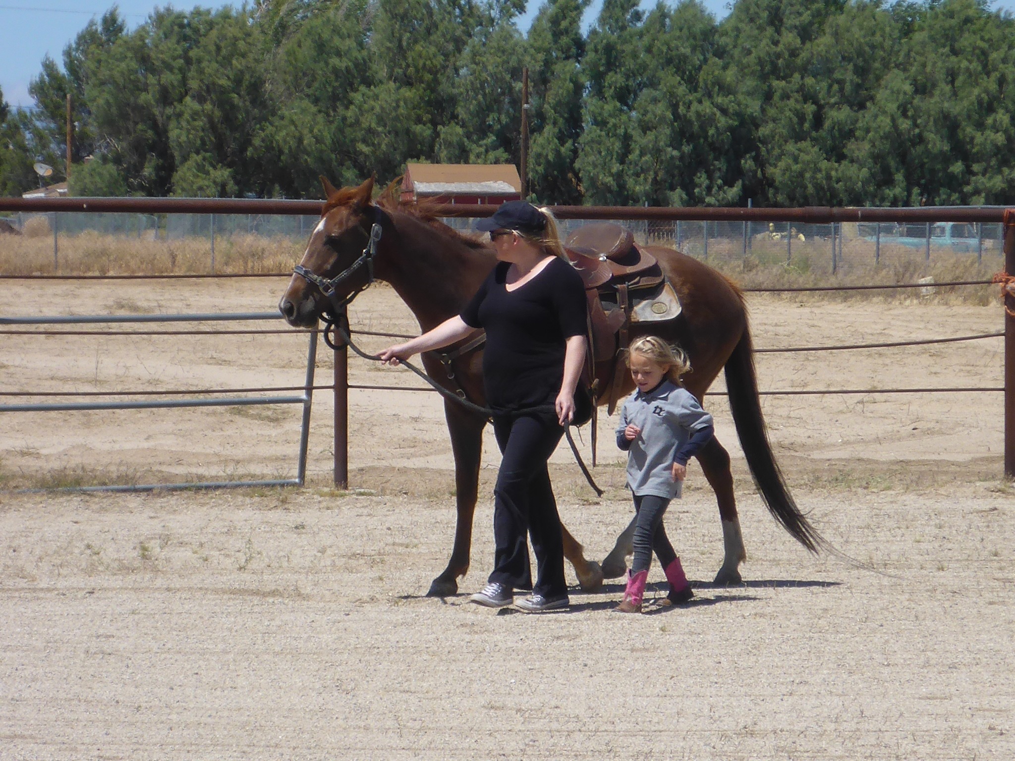 Fahnestock Ranch | Acton CA