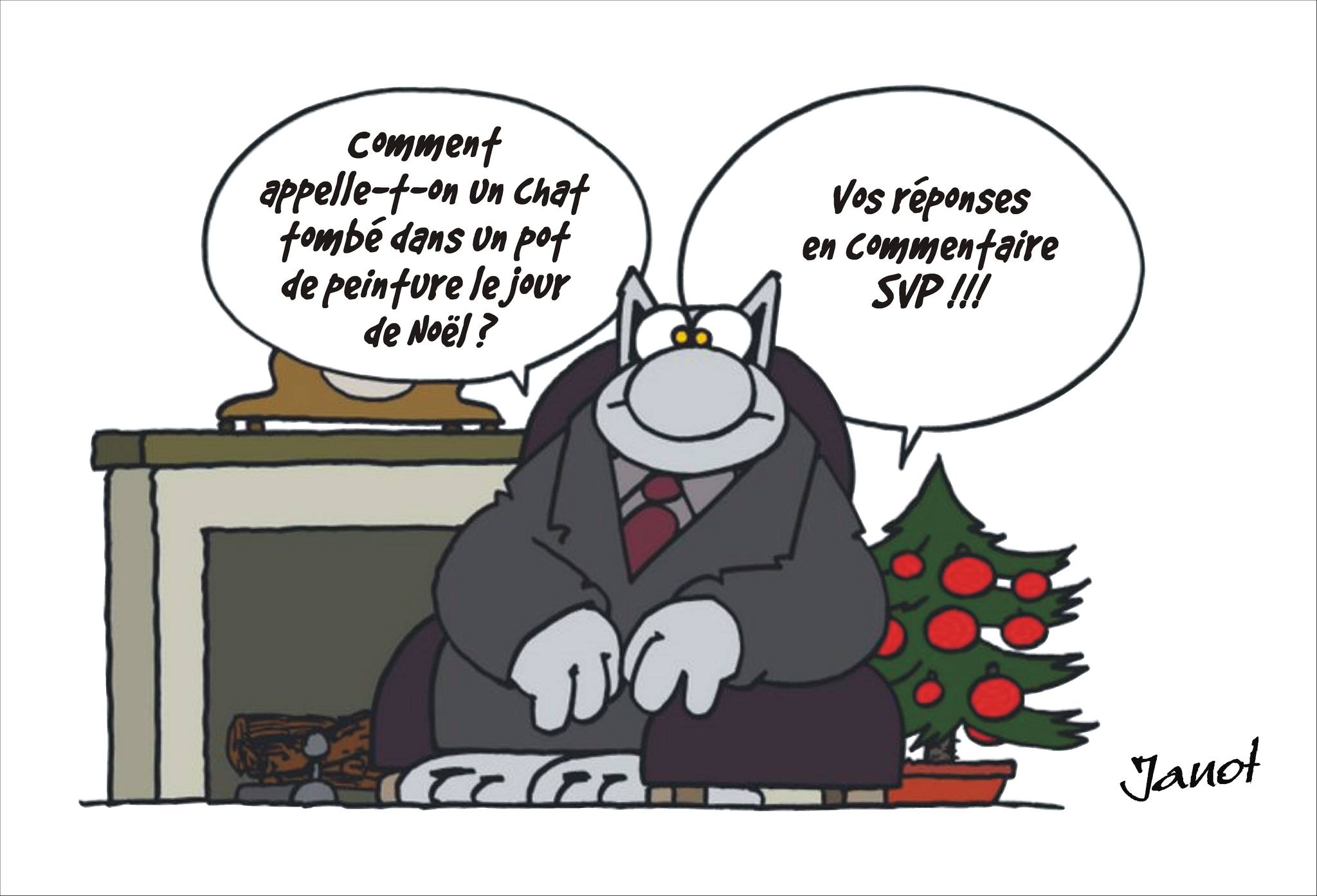 Le Chat vous parle | Facebook