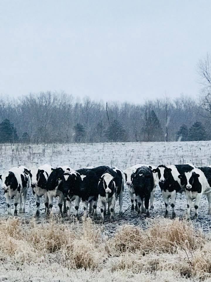 Tooth Acres Farms added a new photo. - Tooth Acres Farms