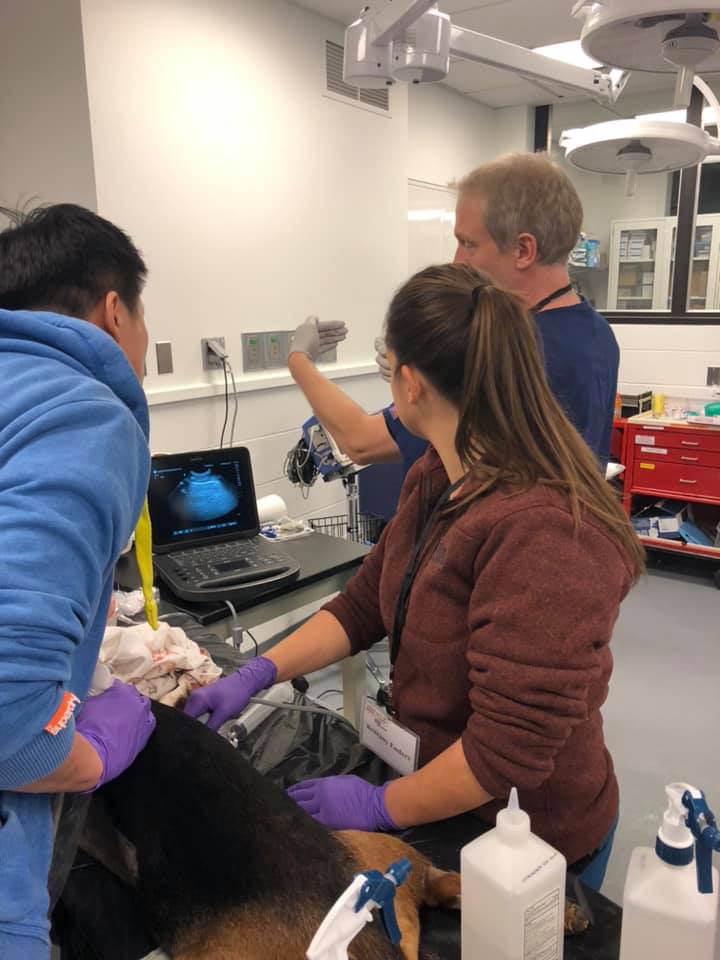 Our colleagues are rocking it giving our residents a great educational ...