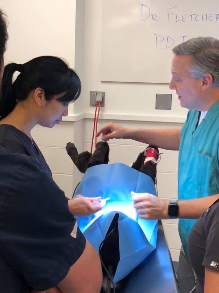 Our colleagues are rocking it giving our residents a great educational ...