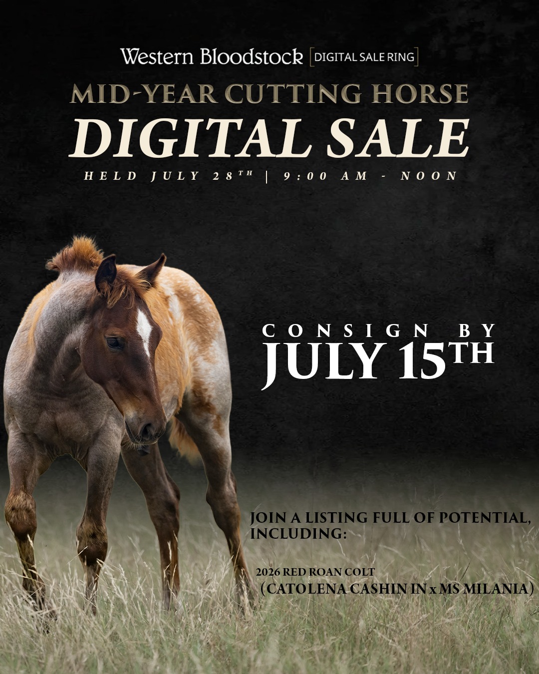 mary's blood final day　limited Western - Join a listing full of 𝗽𝗼𝘁𝗲𝗻𝘁𝗶𝗮𝗹. The