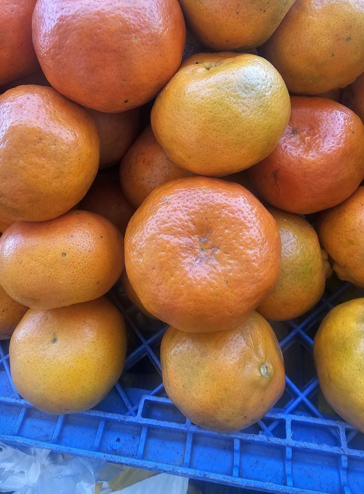Selvin Omar