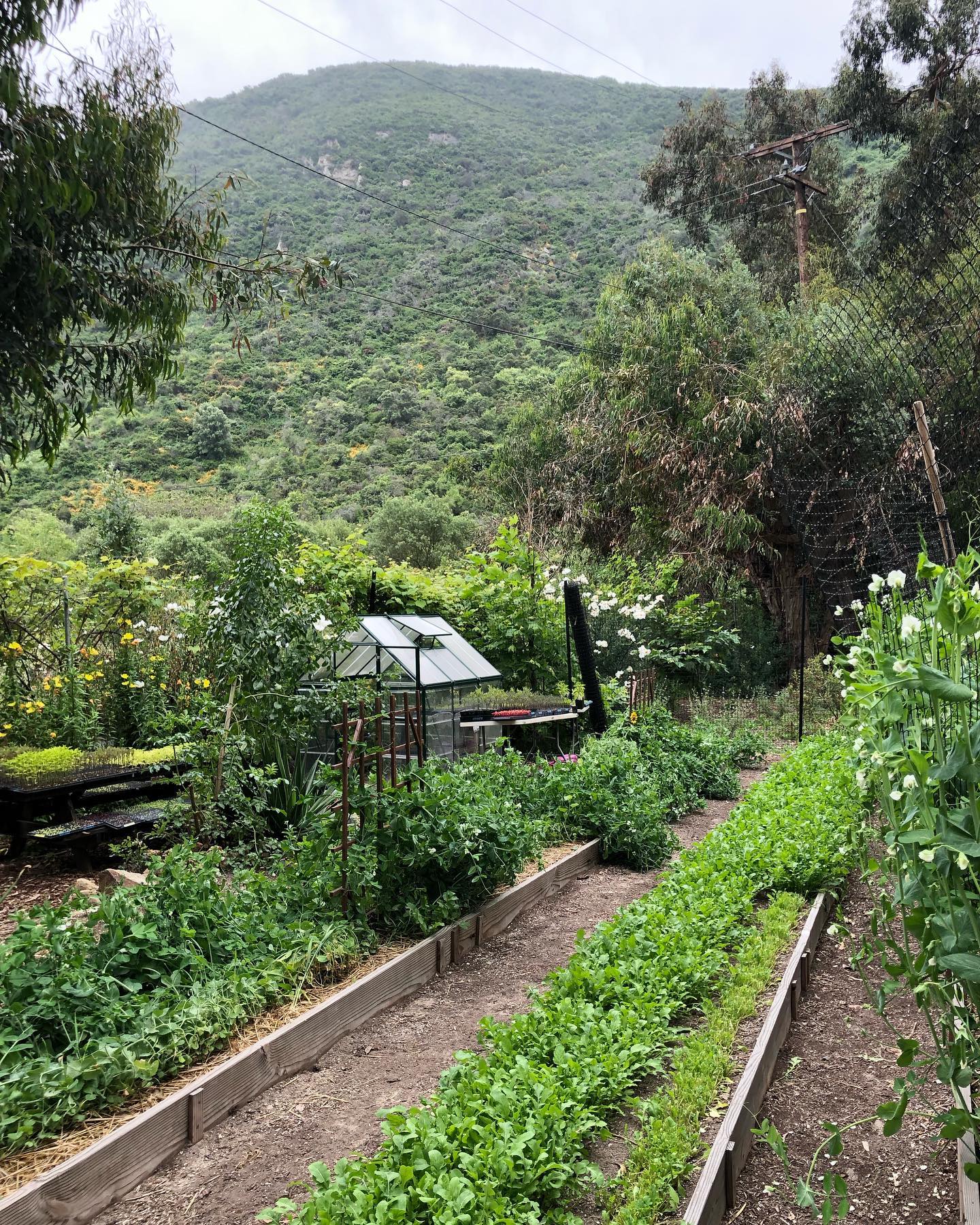 The Harvest Garden at The Ranch in... - Wanderlust Explored