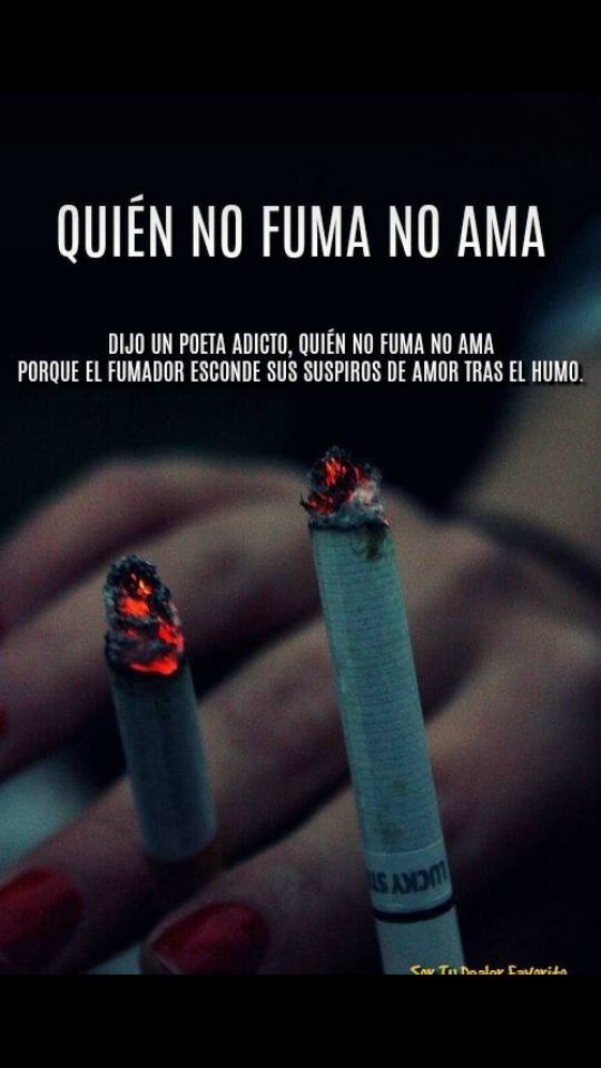 Las Mejores Frases Sobre Fumar