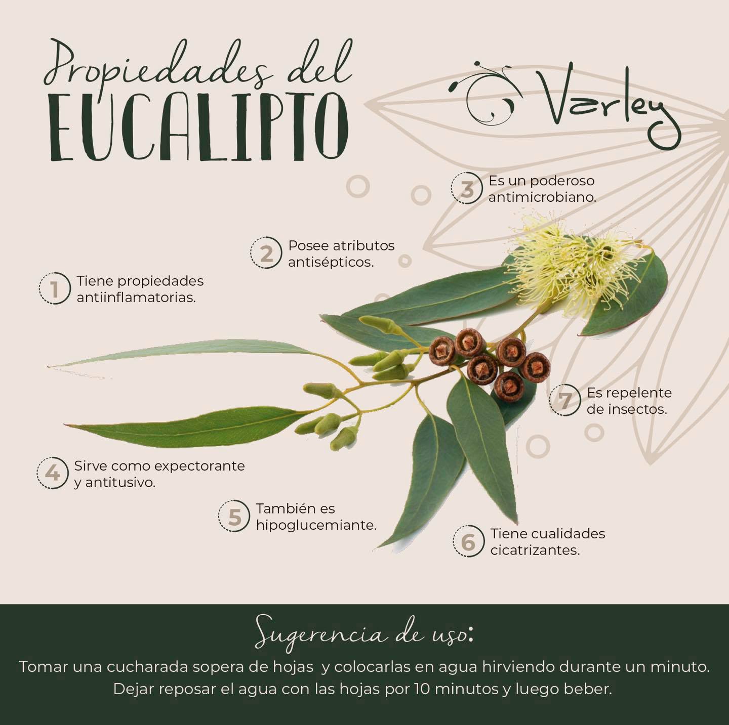 Descubre los beneficios del... - Varley Tea Tree Oil