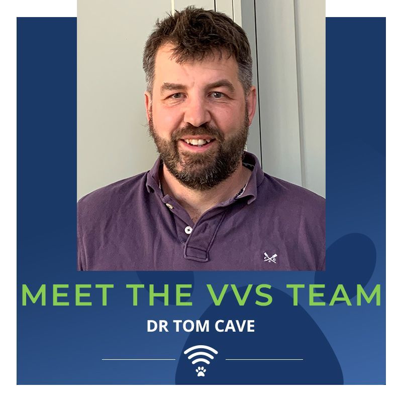 Virtual Veterinary Specialists - 🖐️ Meet the VVS Team 🖐️ Today we would ...