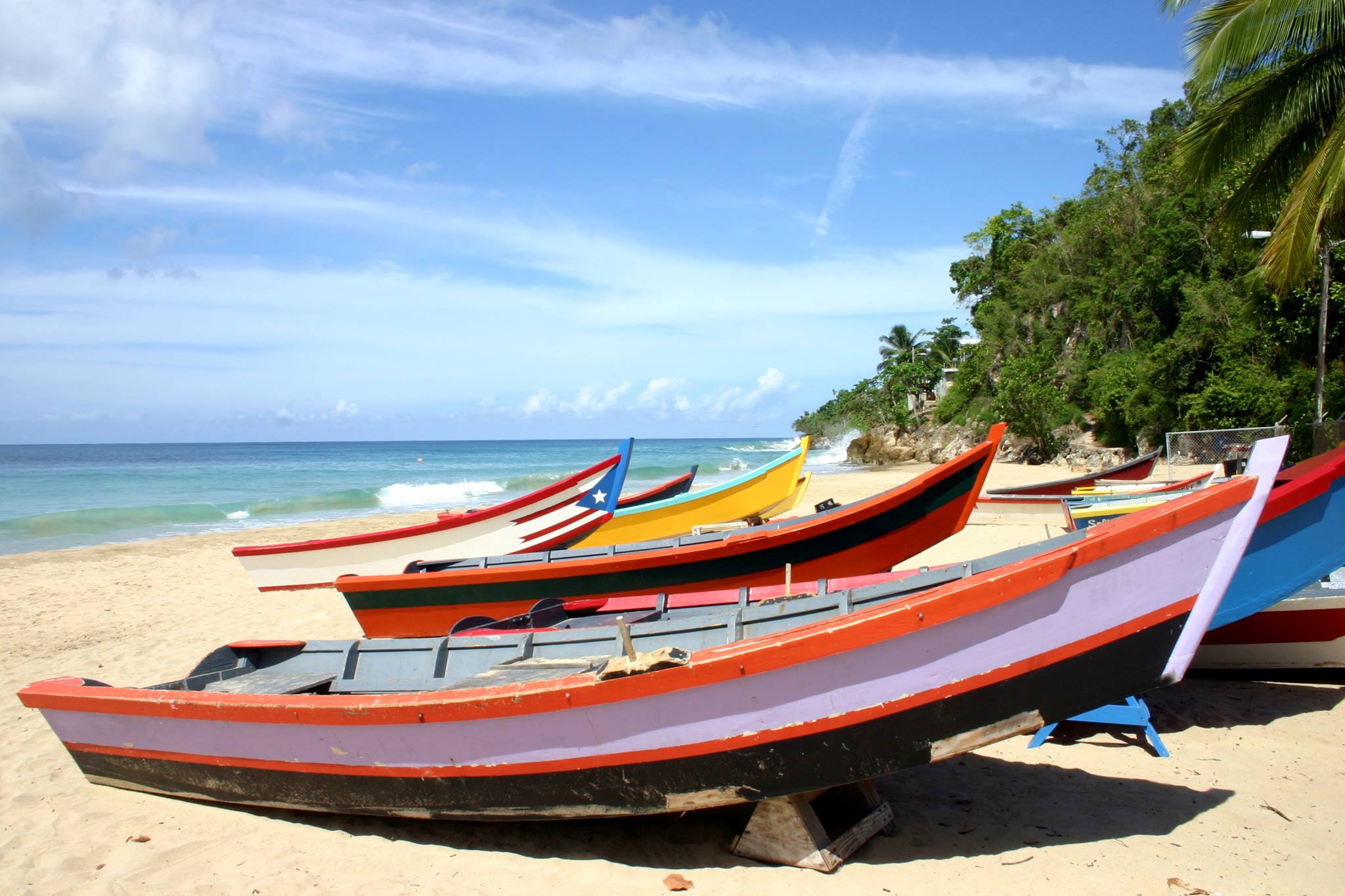 Shore Excursions - Viator