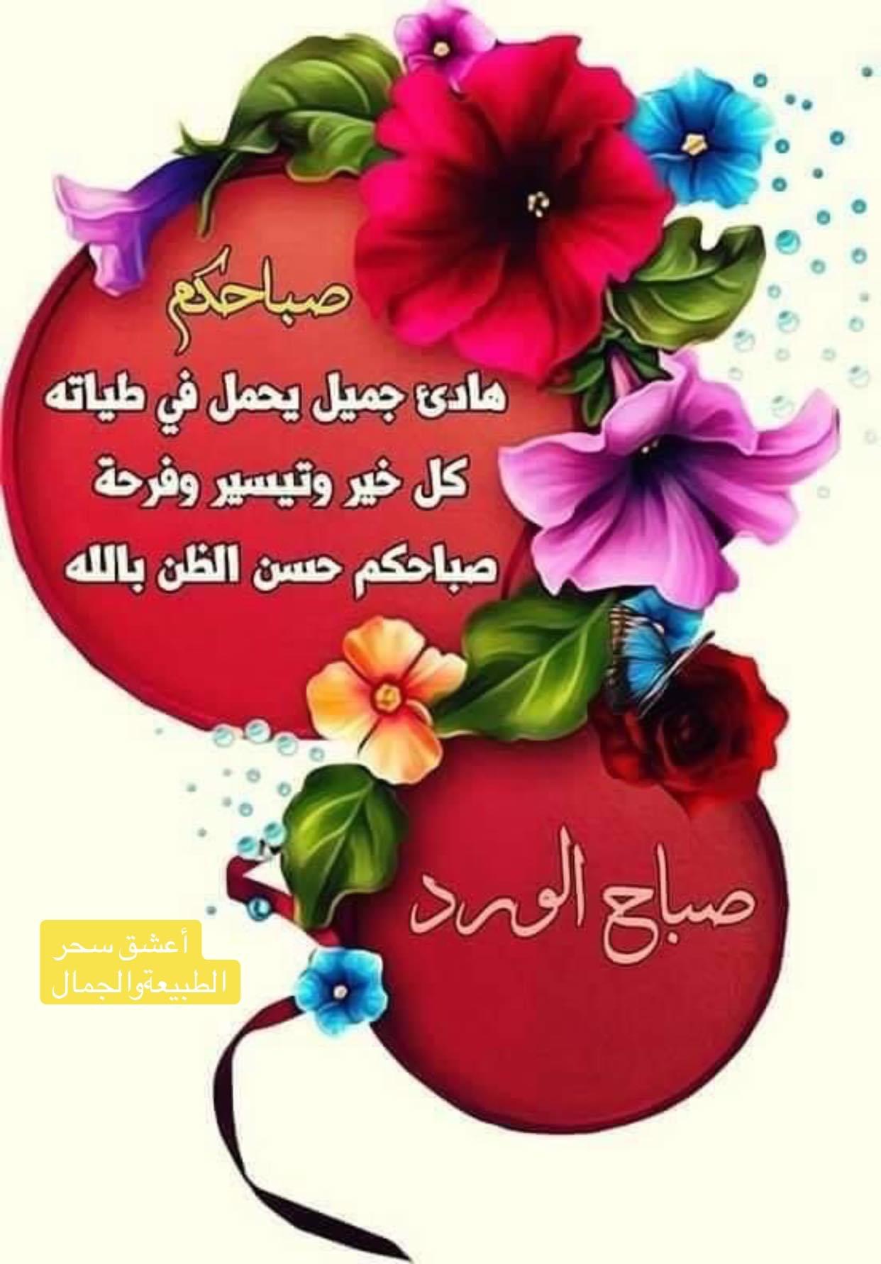 صباح الورد صباحكم حسن الظن اعشق سحر الطبيعة والجمال Facebook