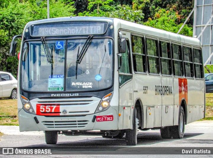 Neobus Mega Plus da Borborema, carro 557, linha: 219- TI Jaboatão