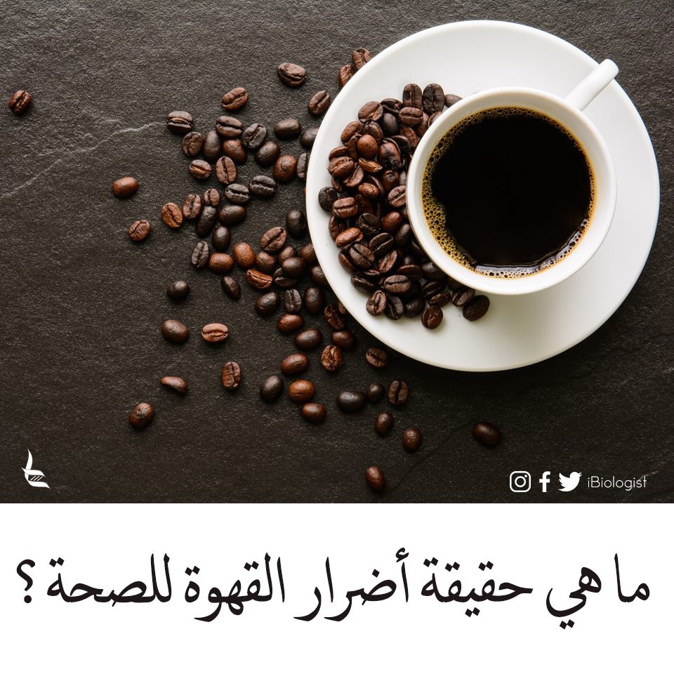 Biologist أنا بيولوجي ماهي حقيقة أضرار القهوة للصحة سمعنا كثيرا عن فوائد القهوة ولكن ماهي اضرار القهوة هل يمكن أن تضرنا القهوة لا خلاف أن الكثير