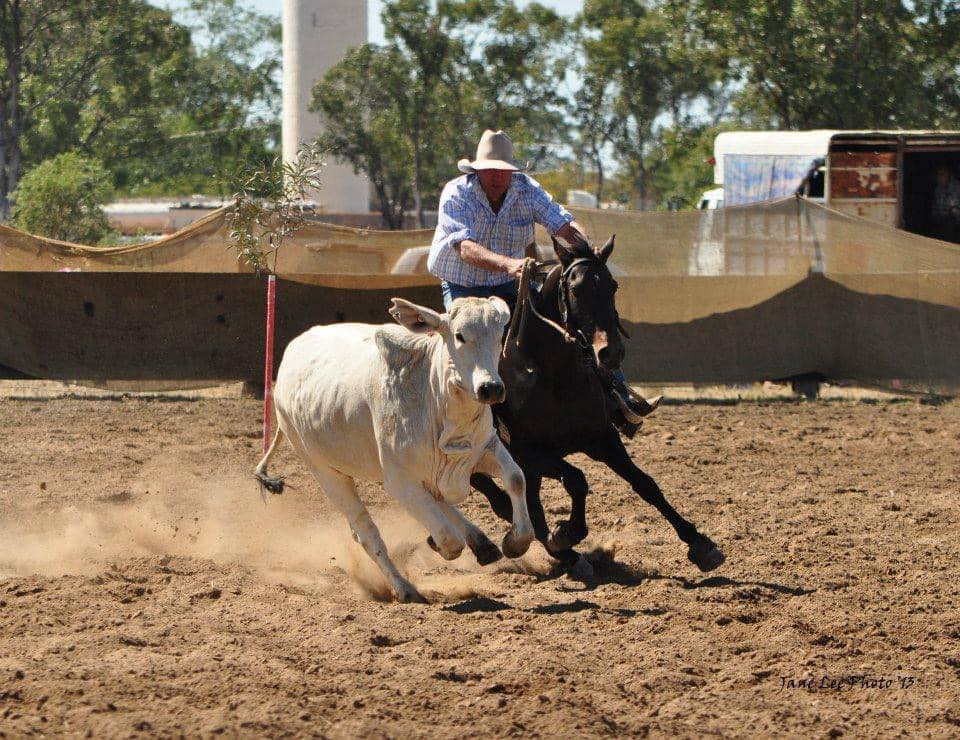 Injune Campdrafting Association | Injune QLD