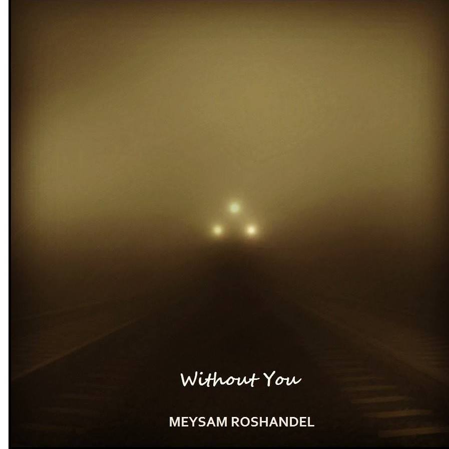 MEYSAM ROSHANDEL