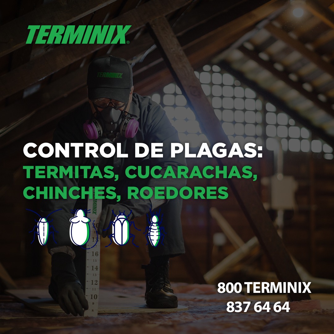 Terminix - En Terminix el control de plagas de manera preventiva y la ...