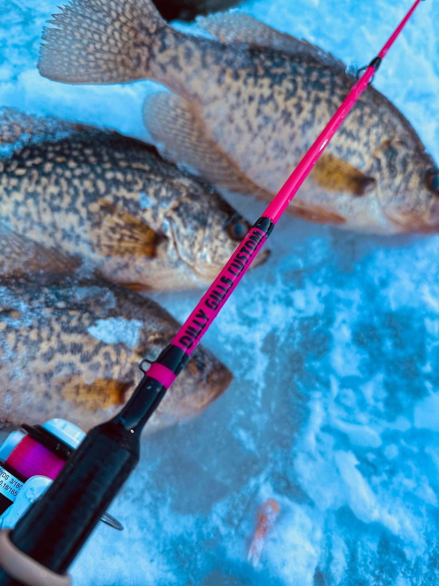 Dilly Gills Custom Rods | Wausau WI